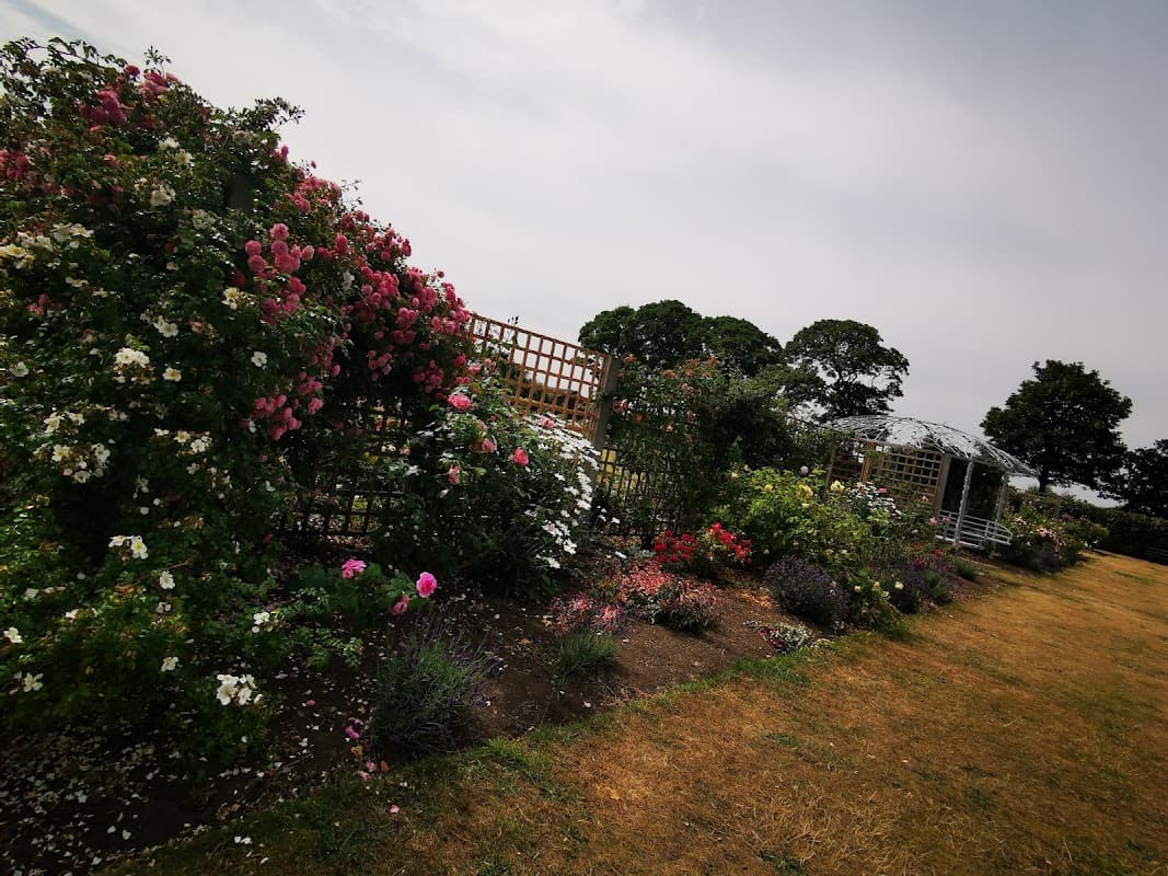 Lush flower garden with climbing roses, trellises, and a gazebo against a cloudy sky in Borough Park, Redcar.