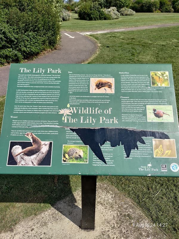Signboard detailing wildlife in The Lily Park, featuring images of animals and information about the park's ecology.