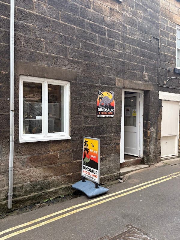 Dinosaur & Fossil Shop RHB - Gift Shops in robin hoods bay