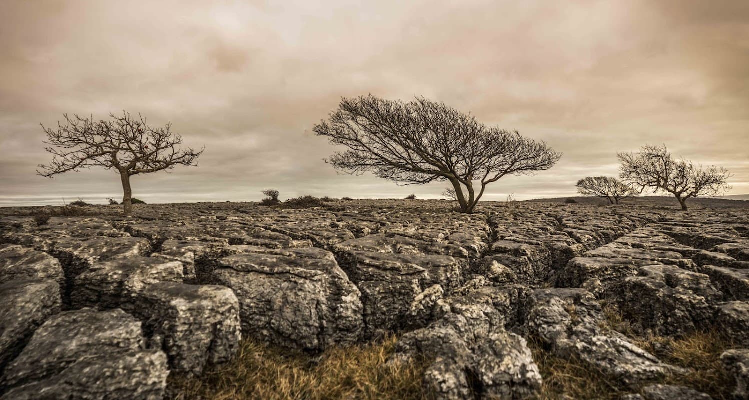 Settle Library - Libraries in settle