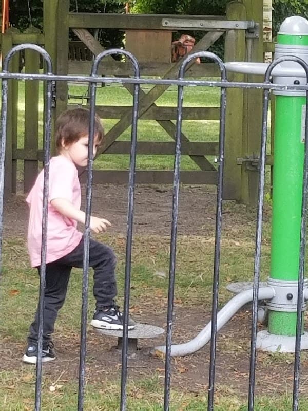 A child in a pink shirt plays on a playground apparatus within a fenced area, surrounded by greenery.