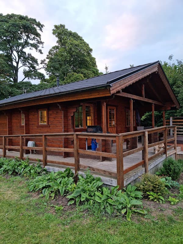Wooden cabin with a porch, surrounded by greenery and trees, set in a tranquil campsite environment.
