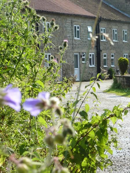 Accommodation at Stokers Cottage in pickering
