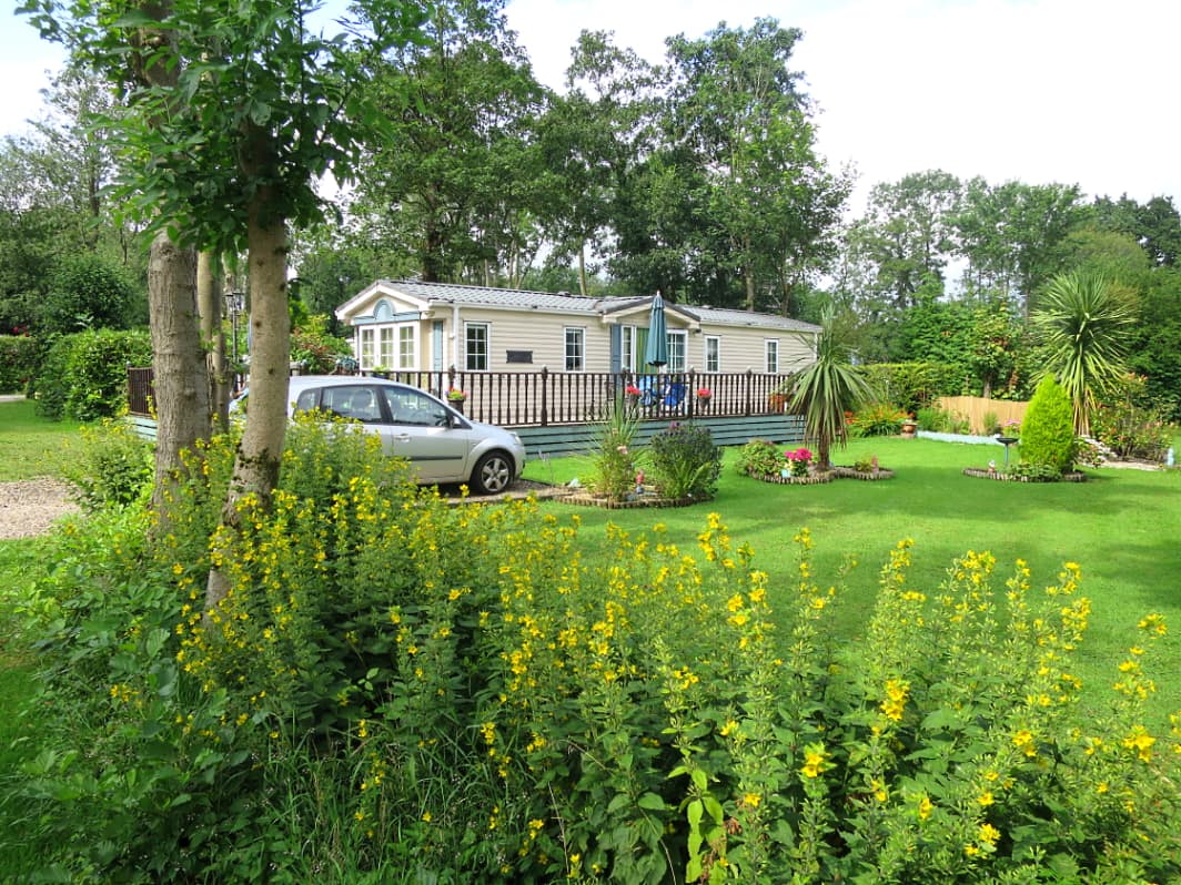 A caravan surrounded by lush greenery and vibrant yellow flowers at Thirkleby Hall Caravan Park in Yorkshire.