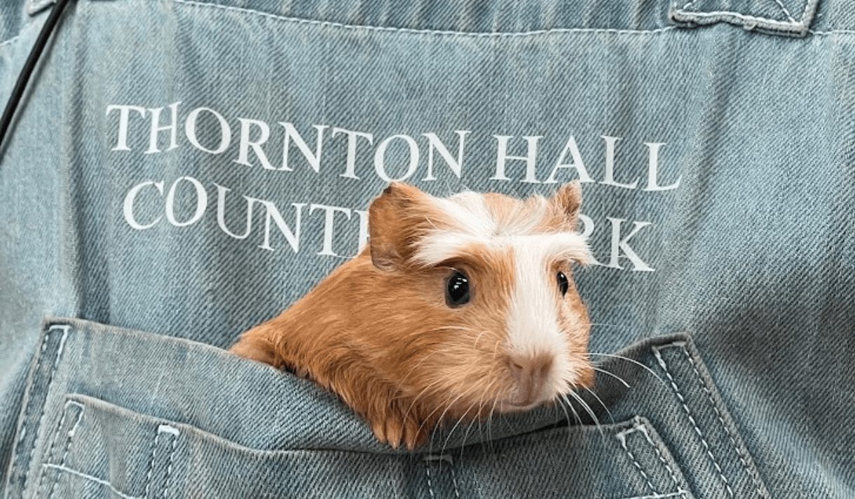 Thornton Hall Country Park - Attraction in thornton in craven