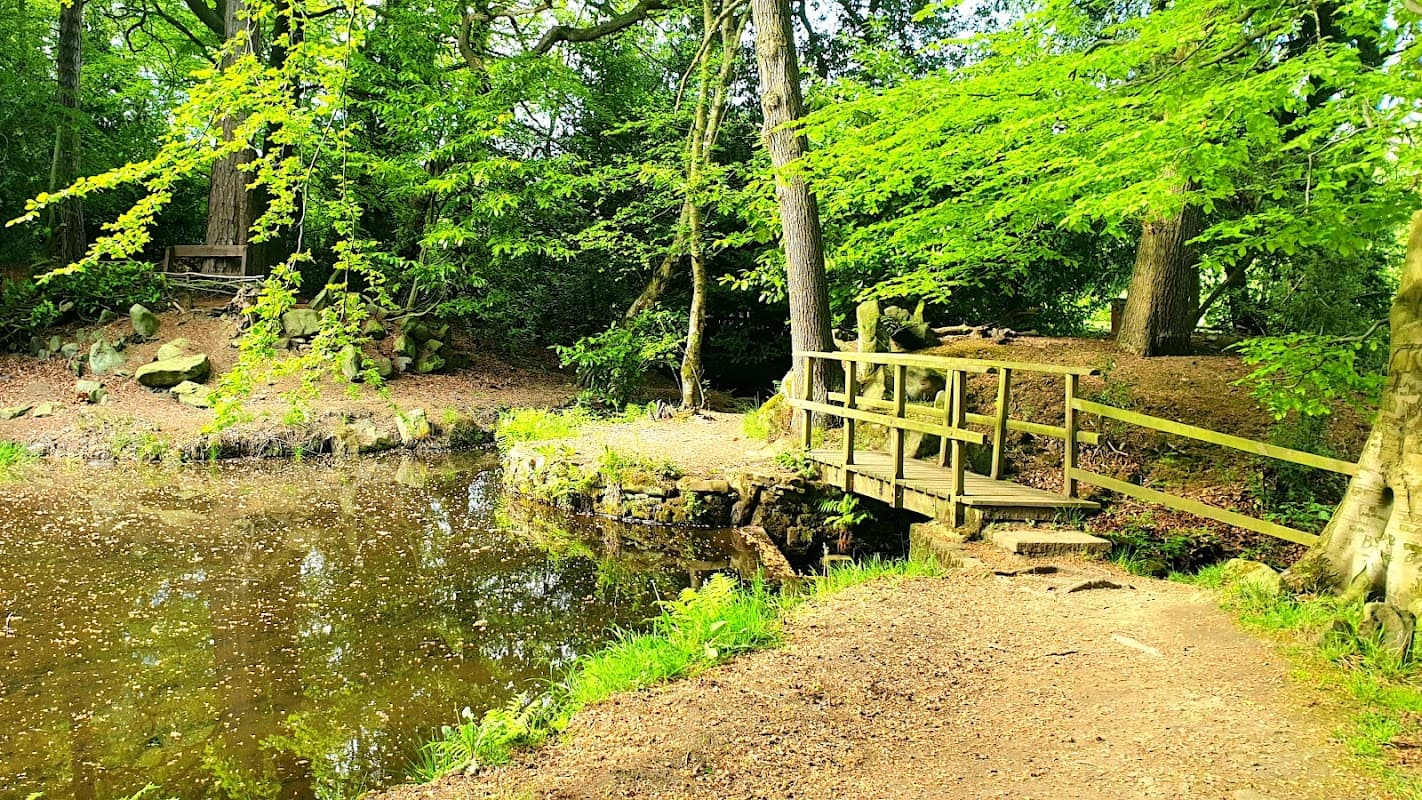 A wooden bridge over a pond surrounded by lush greenery and trees in Dearne Park, Upper Cumberworth.