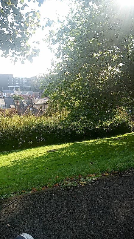 Bus Stop at St Hildas Terrace - Bus Stops in whitby
