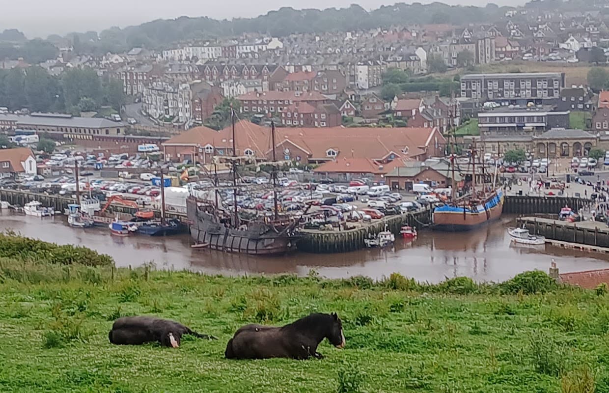 Donkey Field - Historic Site in whitby