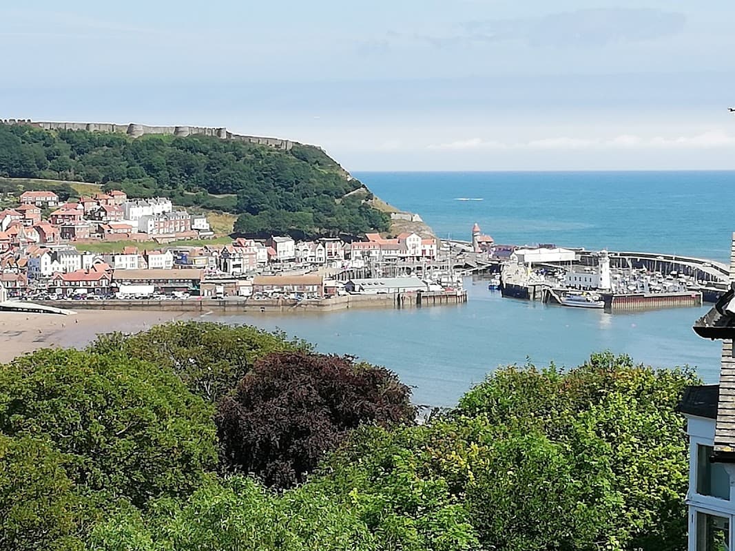 View of Whitby harbor with colorful buildings, boats, and lush green hills under a clear blue sky.