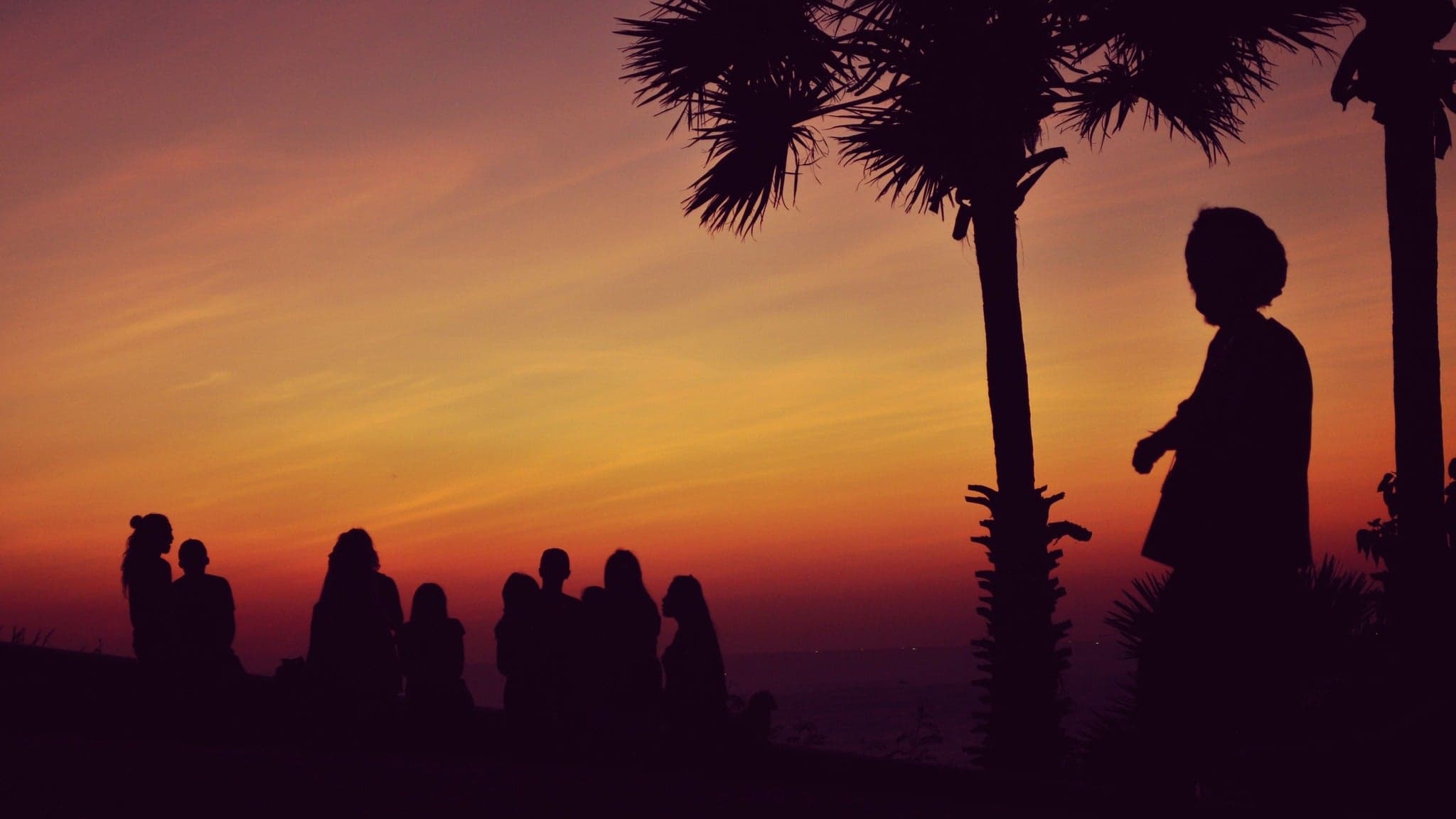 Event image for Hollie Cook