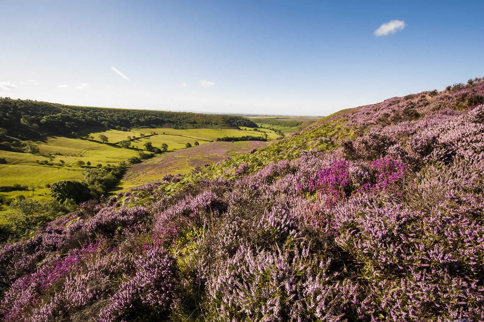 North York Moors