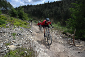 mountain bikers riding in Dalby Forest