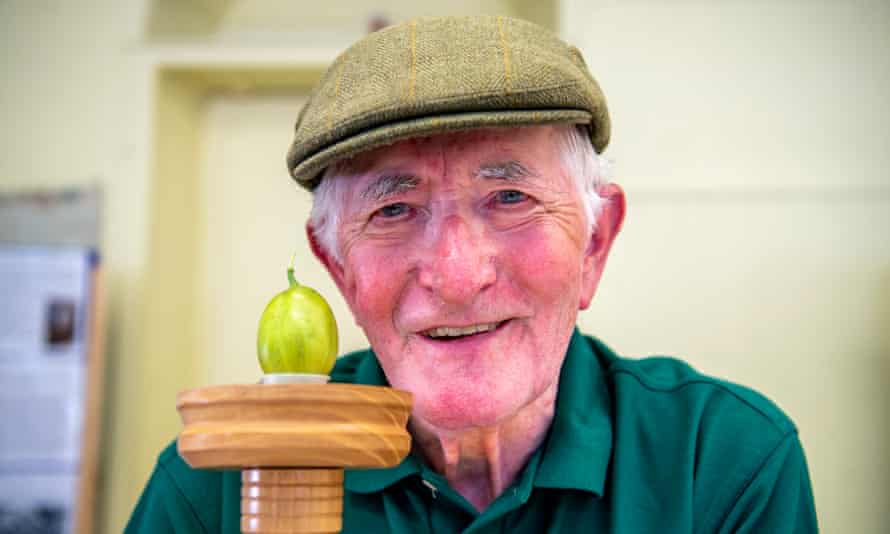 Image name 20210804 063329459 iOS the 2 image from the post Egton Bridge Gooseberry Show in Yorkshire.com.